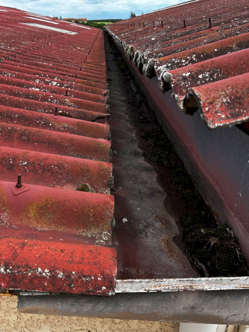 Avant entretien cheneau non nettoyé sur bâtiment industriel avec toiture fibre ciment avec naissance bouchée à Soucieu-en-Jarrest 69