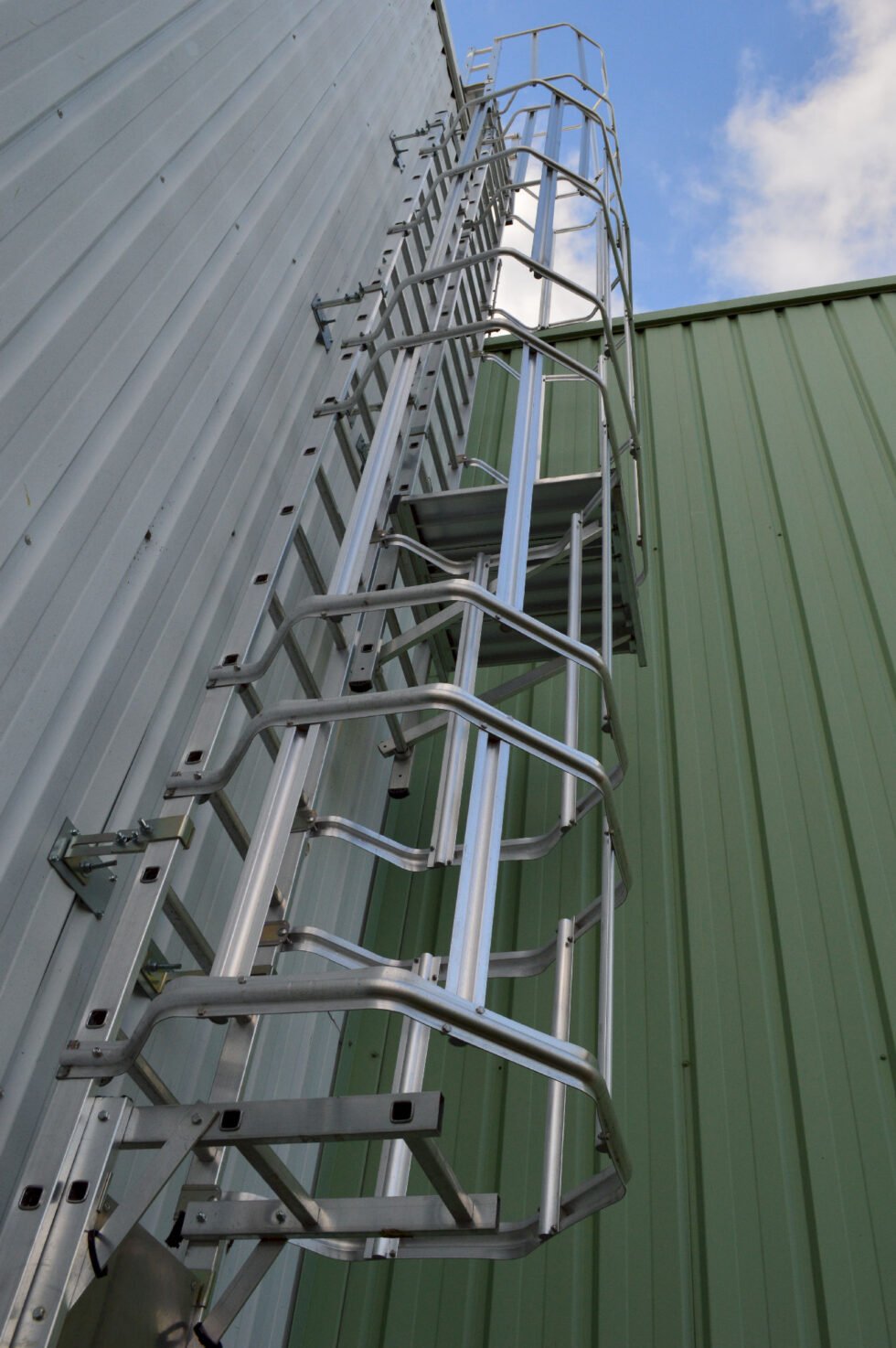 Vérification de la sécurité d'une échelle à crinoline avec palier intermédiaire et porte d'accès BASF genay 69