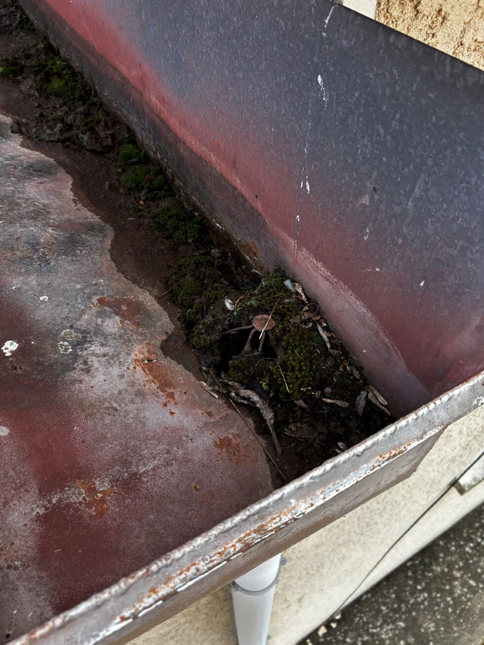 naissance d'une pluviale bouchée suite à non nettoyage d'un cheneau sur toiture fibre ciment d'un bâtiment industriel à soucieu en jarrest 69