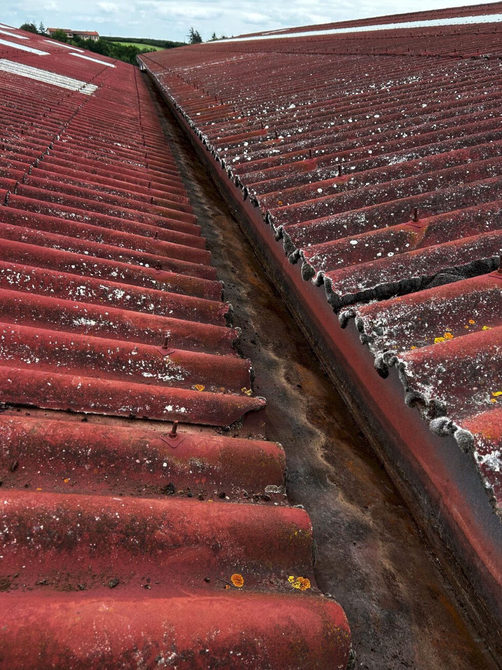 nettoyage d'une noue latérale entre deux bâtiment industriel sur toiture fibre ciment à Soucieu-en-Jarrest 69