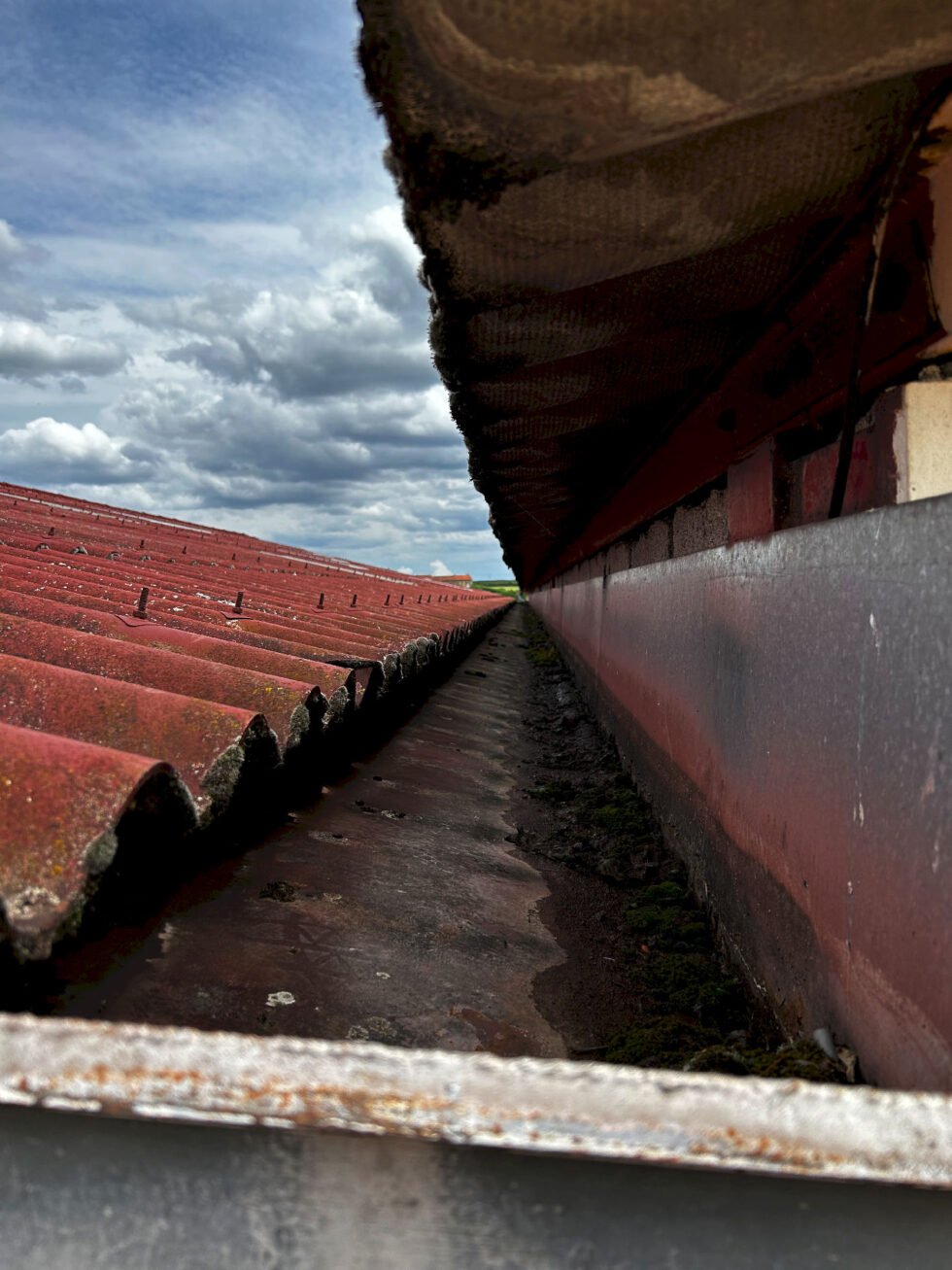 Entretien à faire sur noue latérale d'un bâtiment industriel avec toiture fibre ciment non nettoyée à Soucieu-en-Jarrest 69