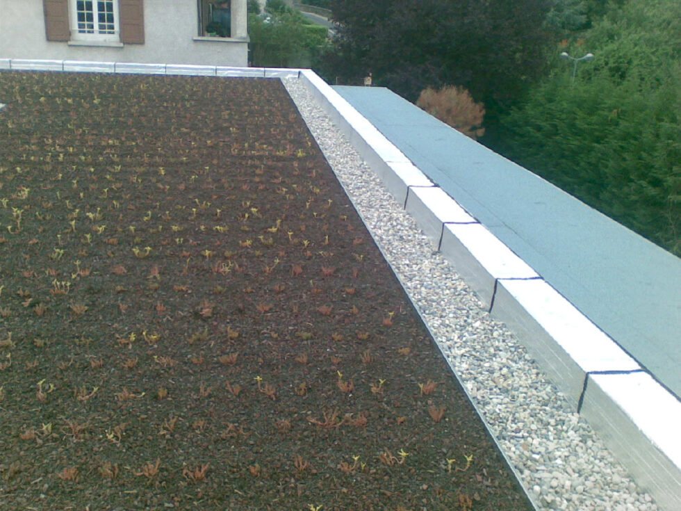 Entretien de terrasse autoprotégée avec toitre végétalisée et relevé alumium sur accrotère béton immeuble d'habitation Lyon 69