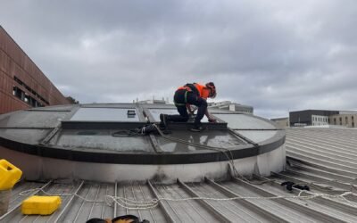 Changement de joint de verriere avec intervention a la ventouse