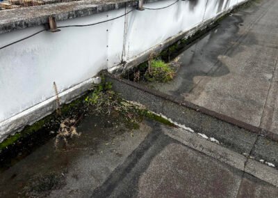 Entretien de toiture etancheite avant