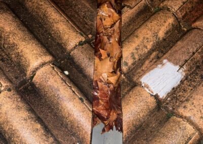 Chenot encombré de feuilles provoquant une mauvaise évacuation des eaux de pluie