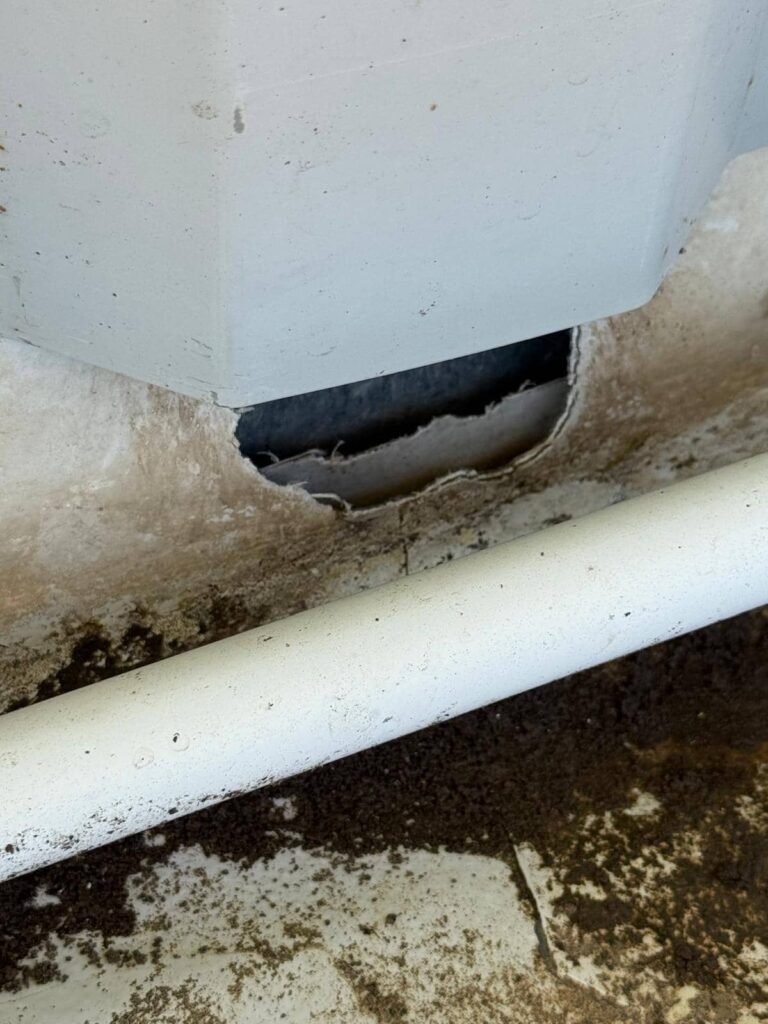 Déchirure membrane pvc en pied de relevé avec infiltration visible sur toiture bâtiment commercial